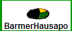 BarmerHausapo