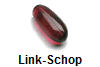 Link-Schop