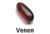 Venen